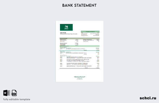цифровая загрузка шаблона Excel банковской выписки Лесото Nedbank
